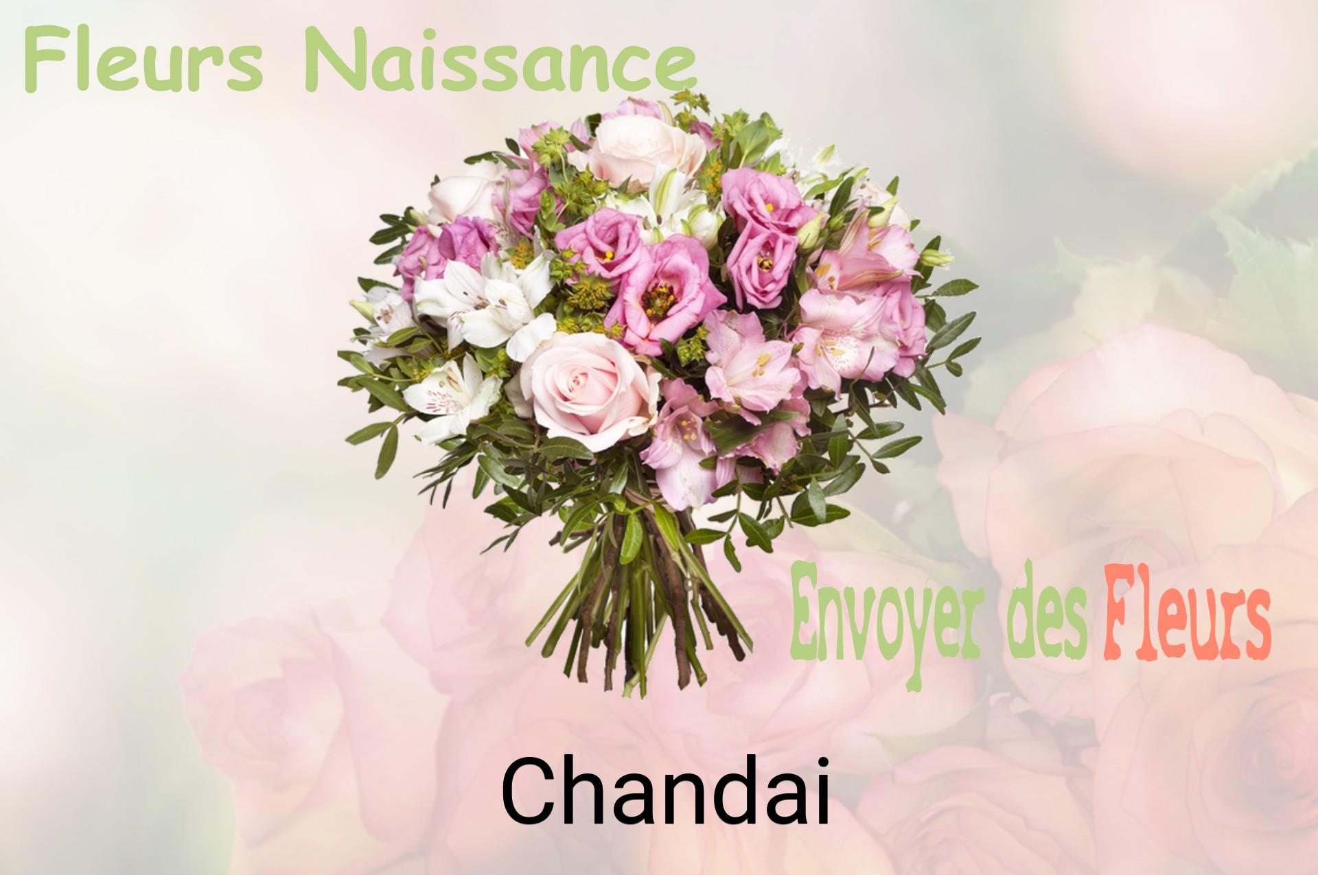 Bouquet de fleurs de naissance livré à Chandai